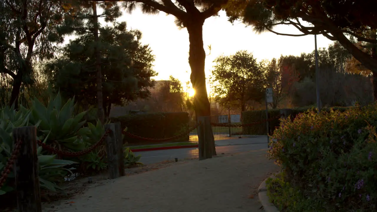 A sunset view of a trail