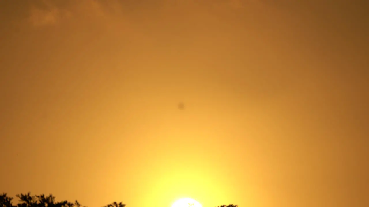 Airplane Flies into the golden sunset