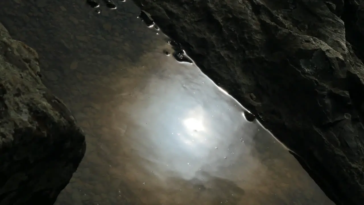 Nature Sun On Muddy Water Zoom