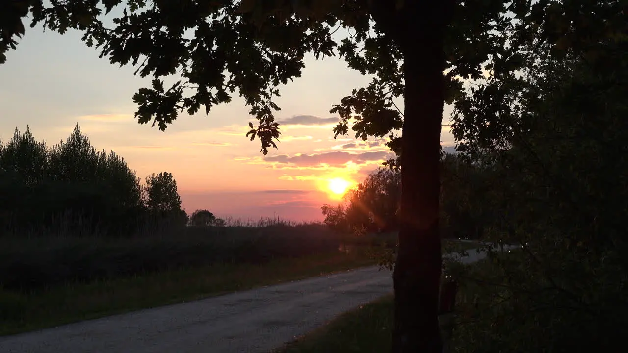 Italy Setting Sun And Tree Zooms In