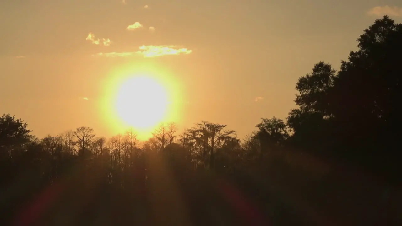 Georgia Okefenokee Swamp With Setting Sun Tilt