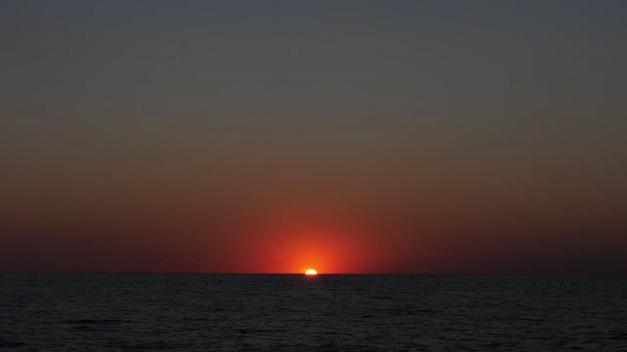 A bird flies over the sea during an unusually beautiful summer sunset last rays of the sun gulls