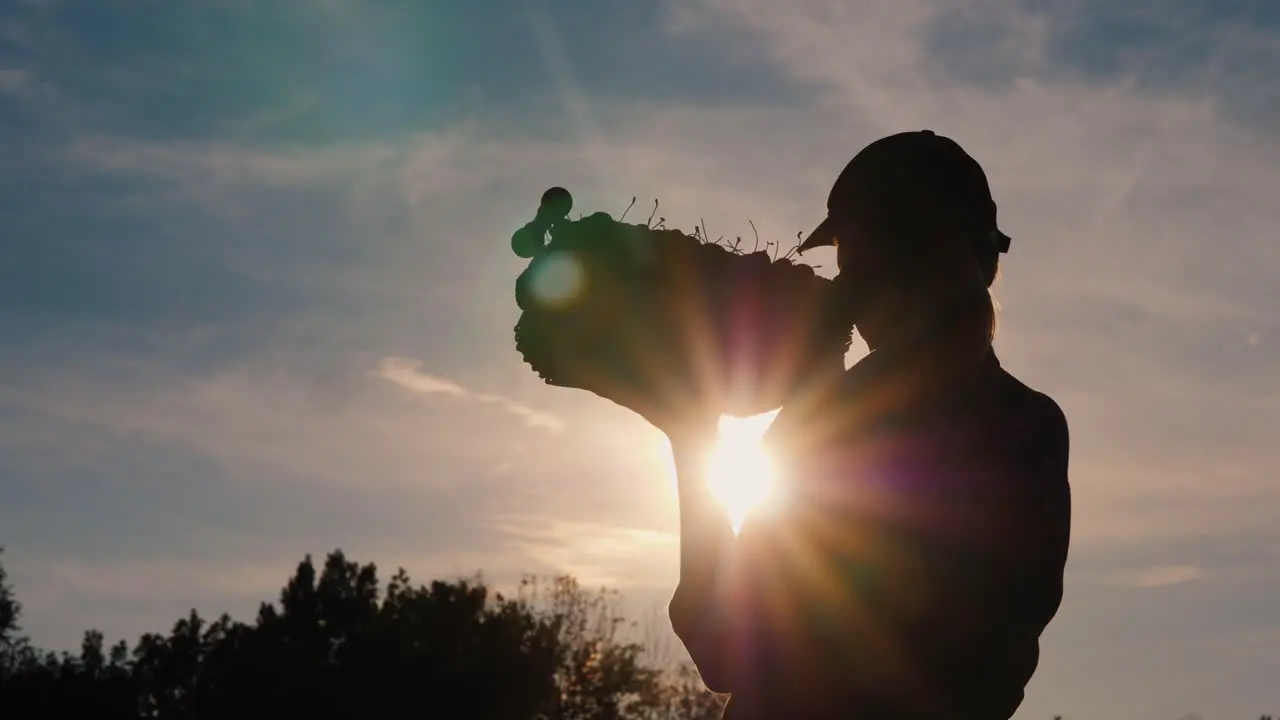 Silhouette Of A Farmer With A Box Of Fruit On His Shoulder