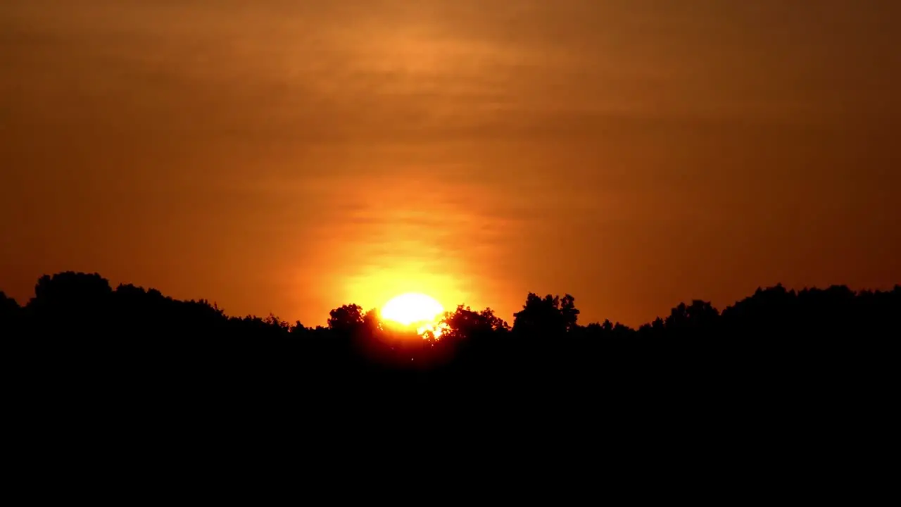 Sunrise TImelapse Over Trees