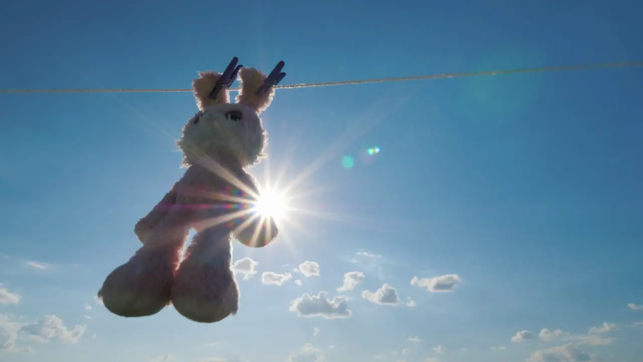 Plush Rabbit Hanging On A Rope Dried In The Sun 4K Video