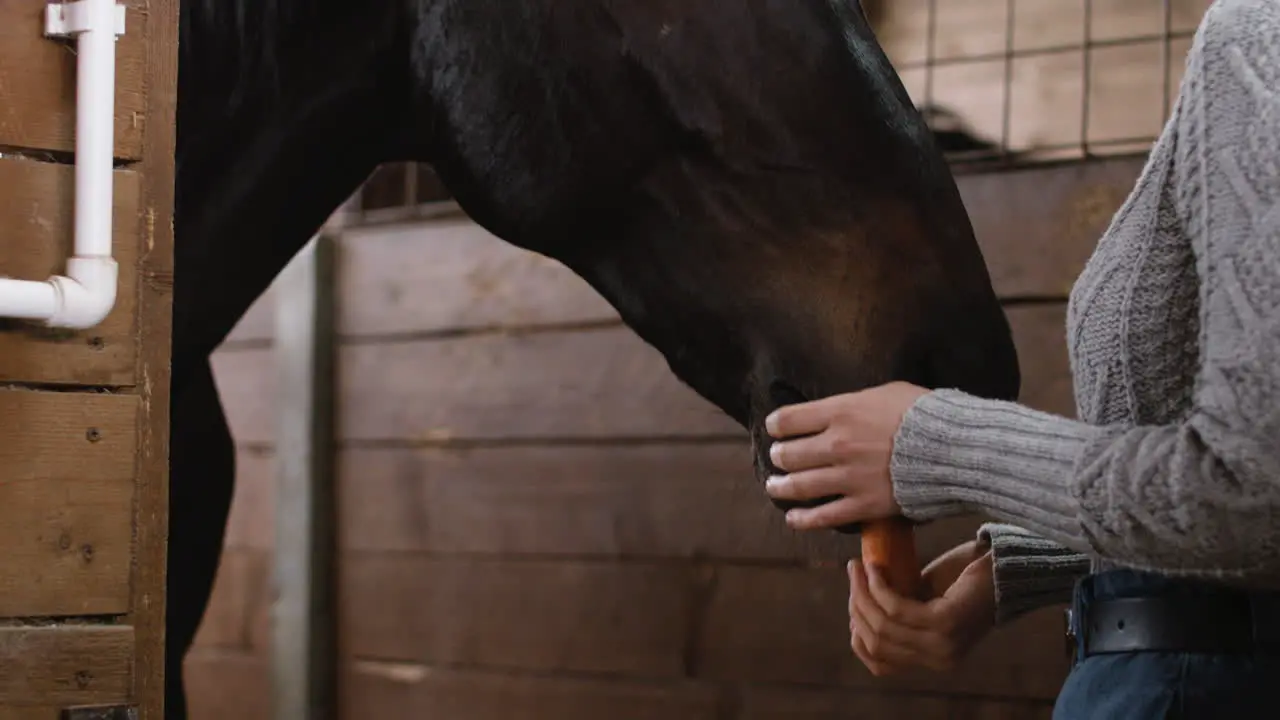 Girl Opening A Door In A Stable