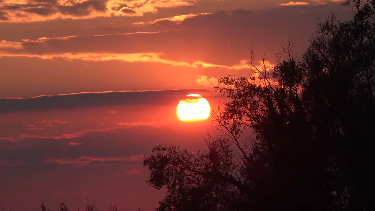 Italy Sun Disappears Behind Cloud And Branches