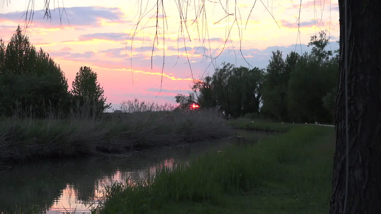 Italy Setting Sun Through Trees Zooms In