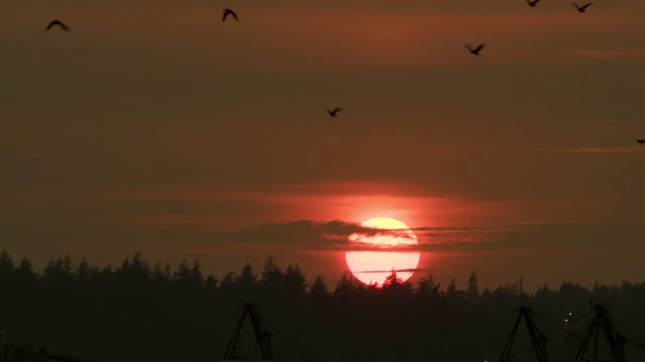 Perfect Orange Sunset time-lapse over forest tree line