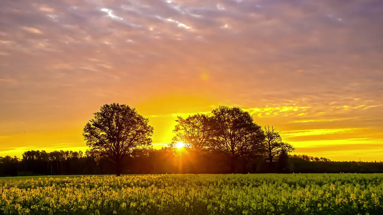 Timelapse of a majestic orange sunset and a meadow