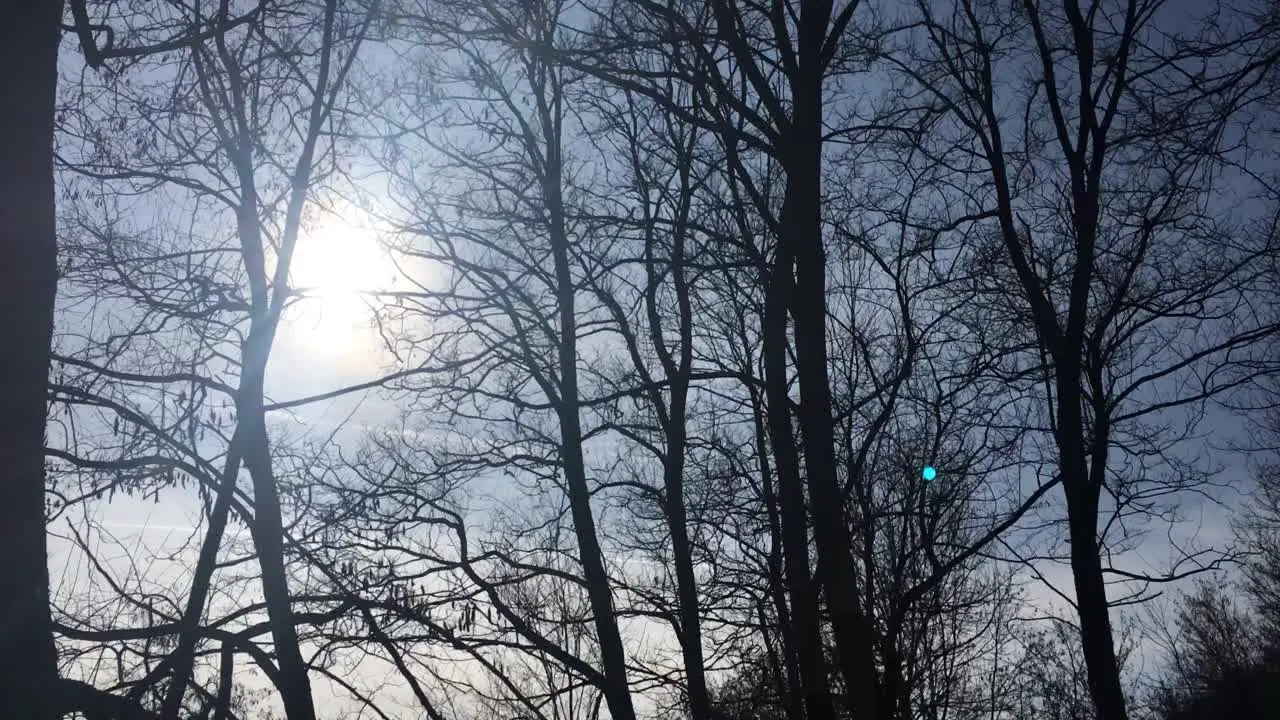 Walking on a forest road early spring season