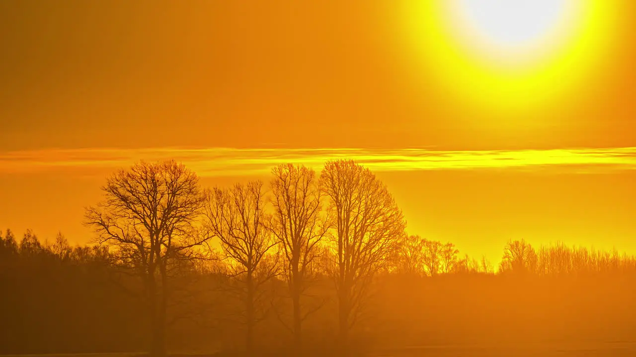 Super bright yellow sunrise in rural area with tree silhouettes time lapse