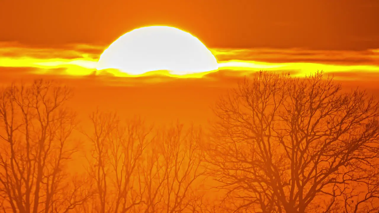 Timelapse of the big sun setting in the cloud with tree branches silhouette