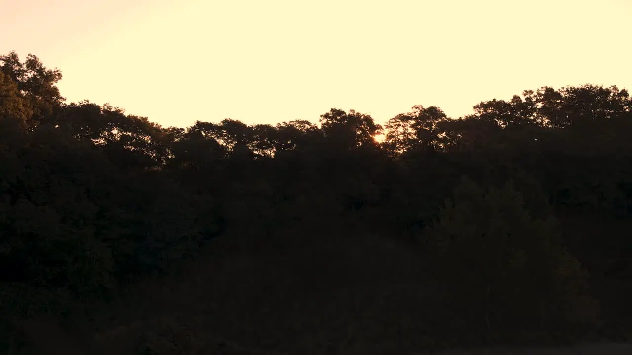 Drone at Dune Forest in Sunrise