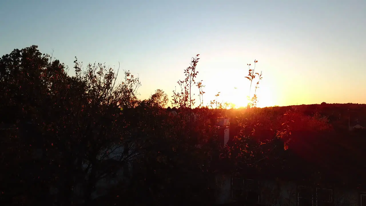 Slider Shot Of Sunlight Shining Through Trees At Sunset Tulsa