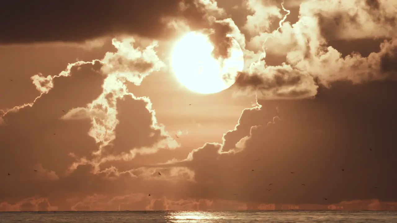 sun in clouds with bird silhouettes flying in distance by ocean water