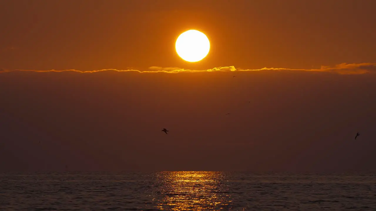 Golden Yellow Orange Sunset Above Clouds And Ocean With Birds Flying Past