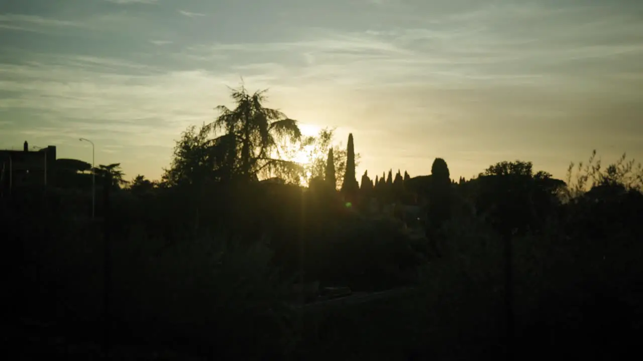 Sunlight Streaming Behind Nature Silhouettes During Daylight Sideways