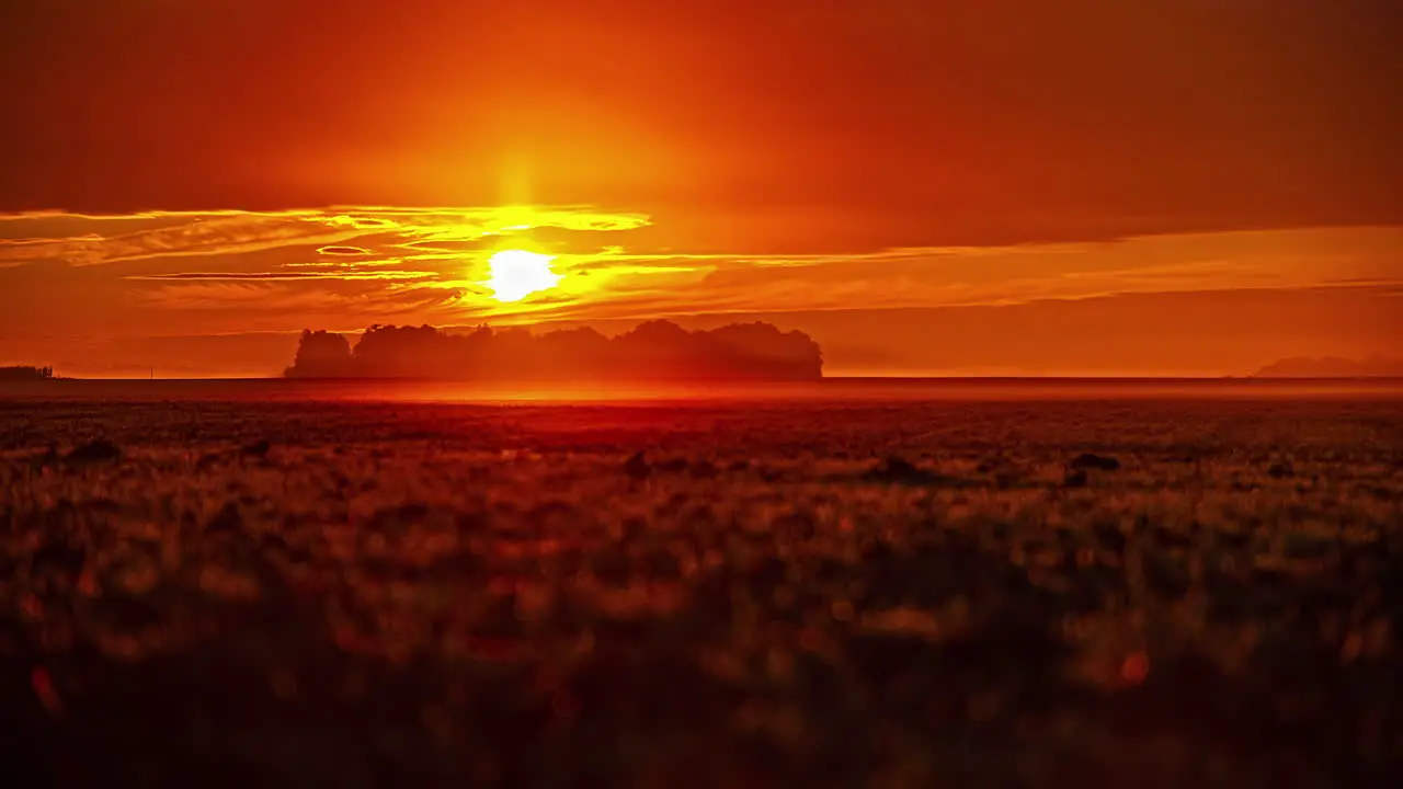 Stunning golden sunrise over a countryside farmland field with a copse of trees in the hazy distance time lapse