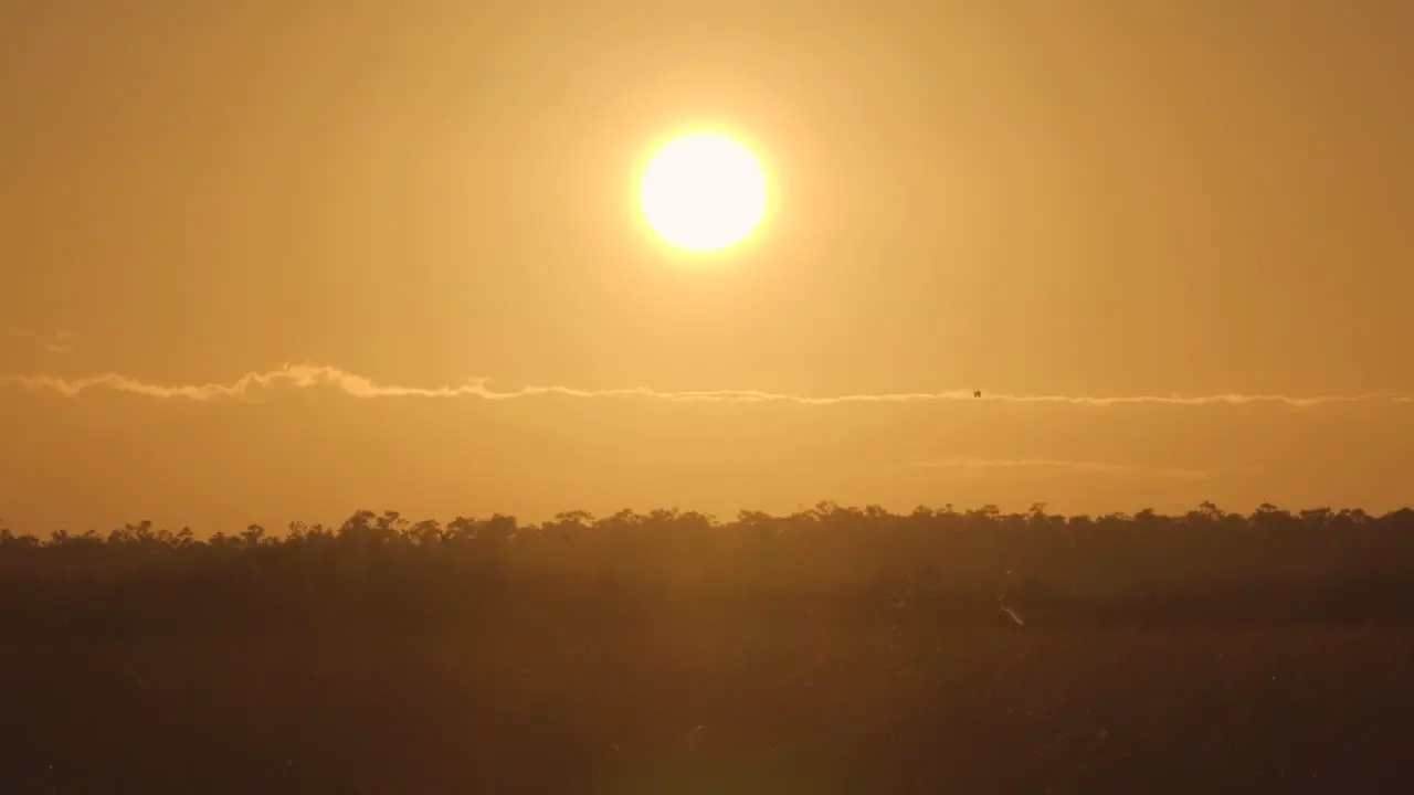 sunrise sunset sun with tree landscape and bird silhouettes flying