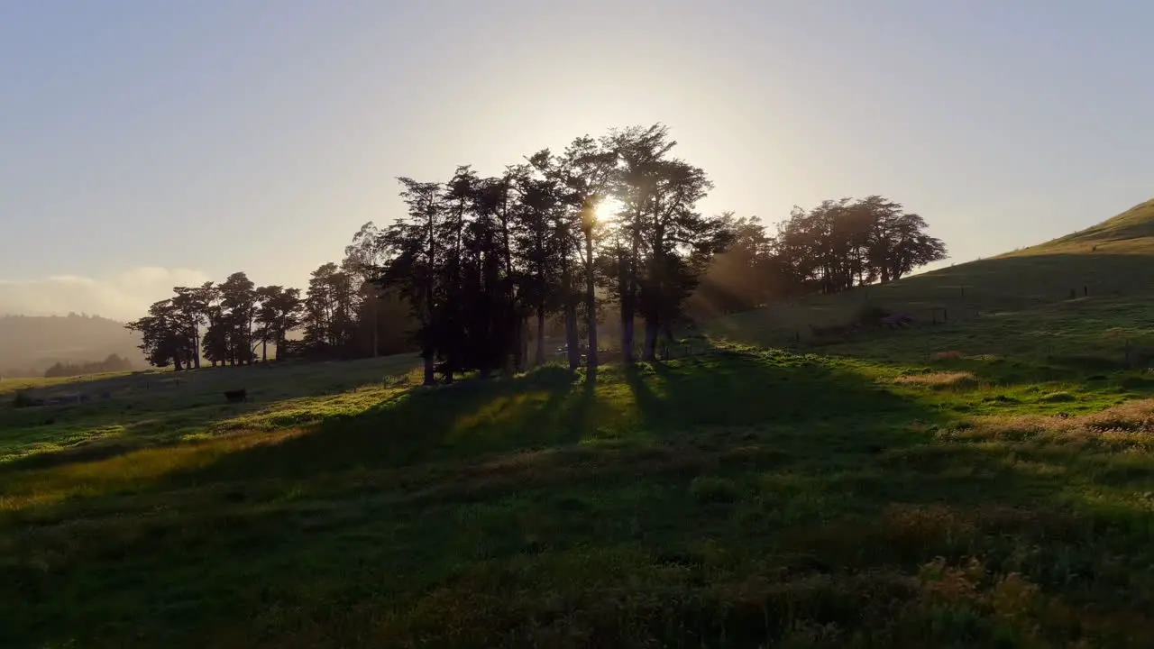 Bright Sun Shining Through The Trees And Green Fields