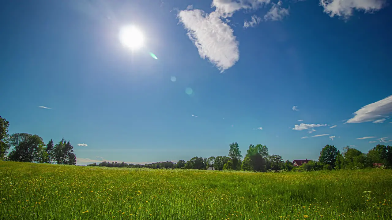 Blue sky partially cloudy timelapse over green forest with trees