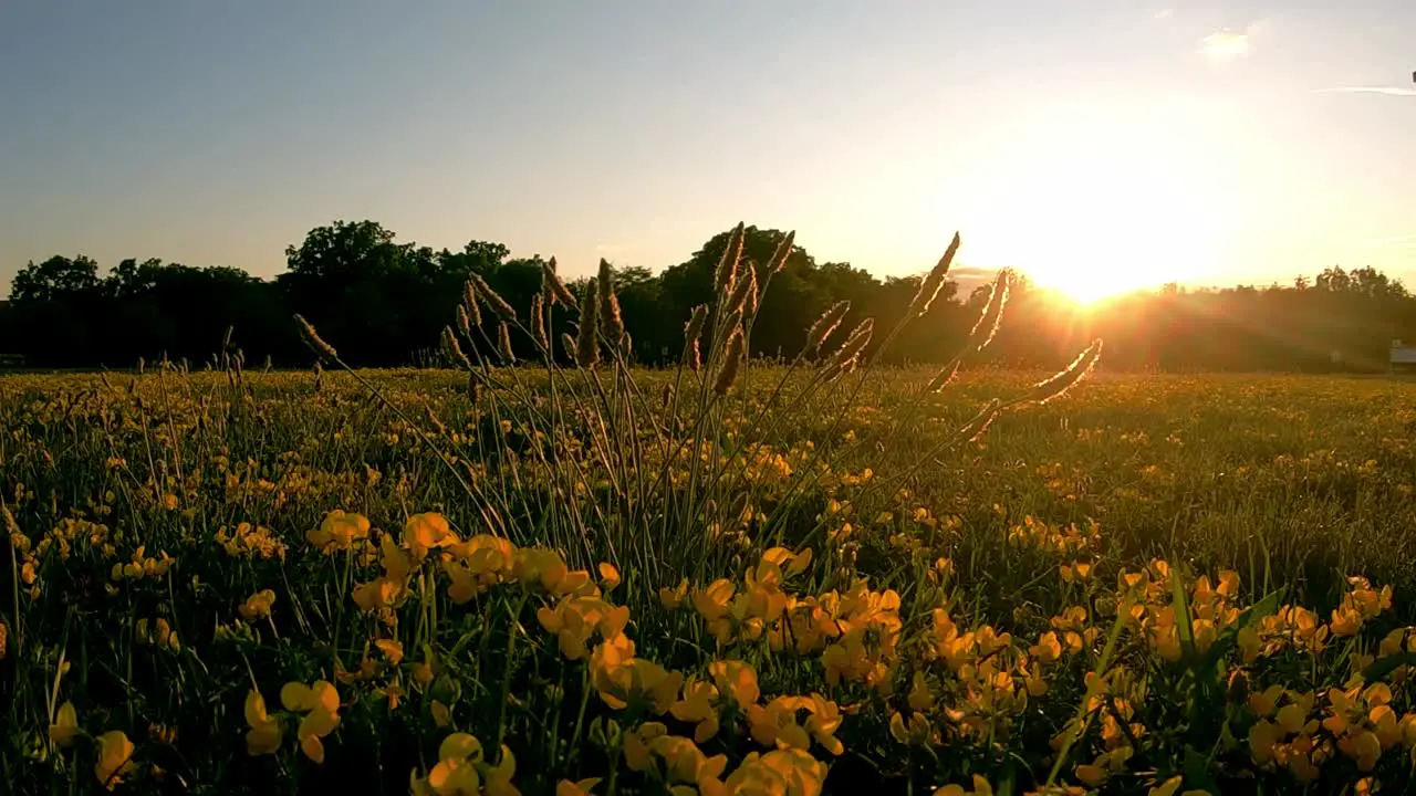 Beautiful landscape during sunset Static