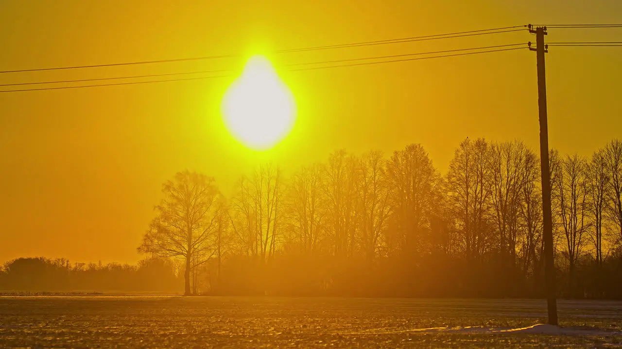 Bright Yellow Sun Rising Over Trees Against Orange Skies With Telegraph Pole In View