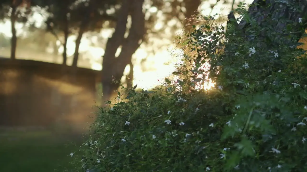 Landscape automatic garden watering system with different sprinklers installed under turf