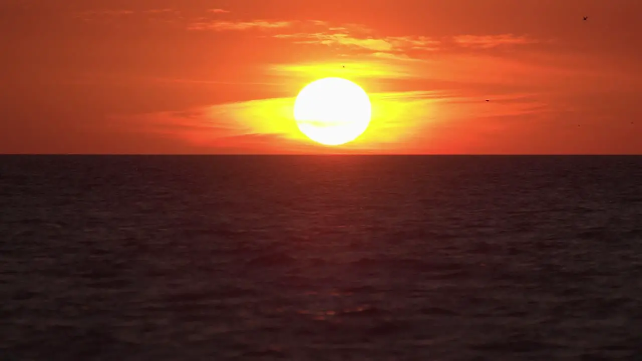 Slow Motion shot of Orange Florida Sunset over the Gulf of Mexico with sea birds flying in the distance