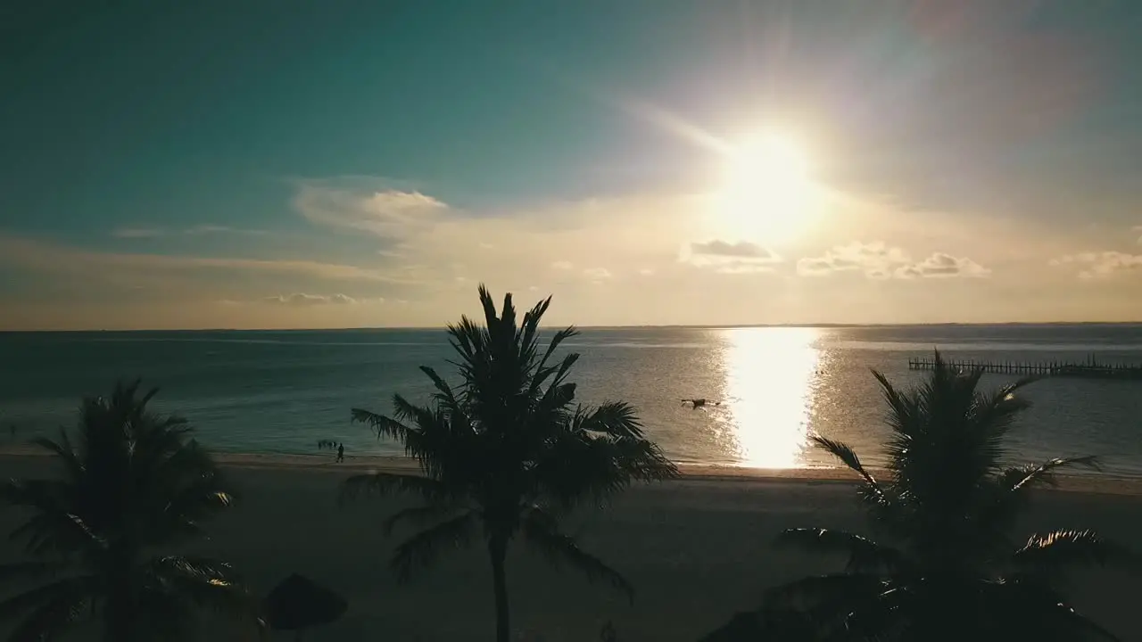 Calmer forwards slowly rise up drone shot over palmtrees to the sunset at a dream beach