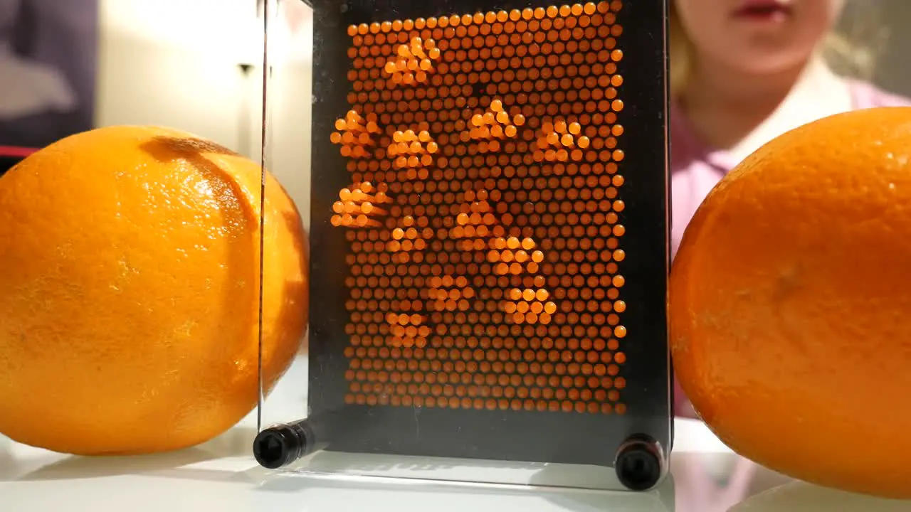 Girl pressing pin art toy placed between two orange's