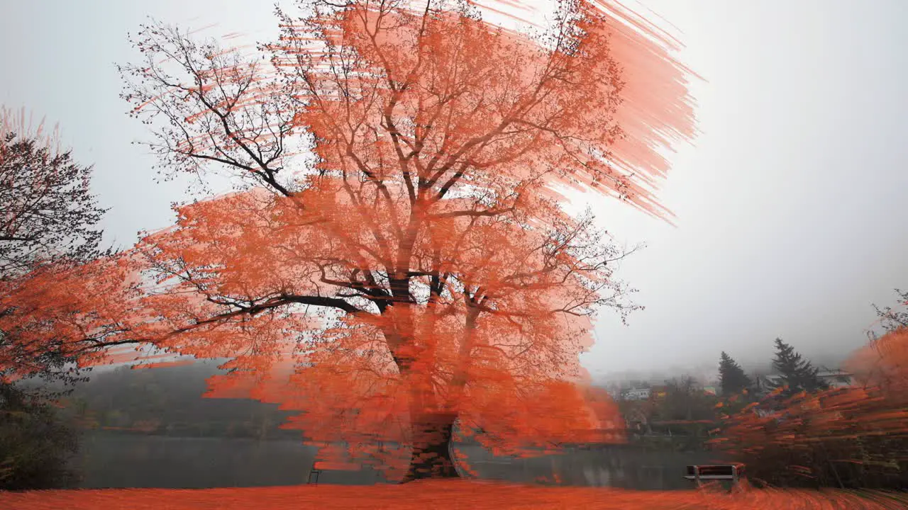 An old oak tree standing on the bank of the small pond