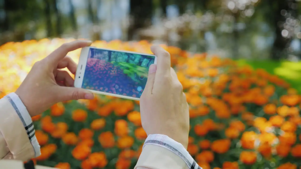 Woman Photographs Beautiful Flowerbed