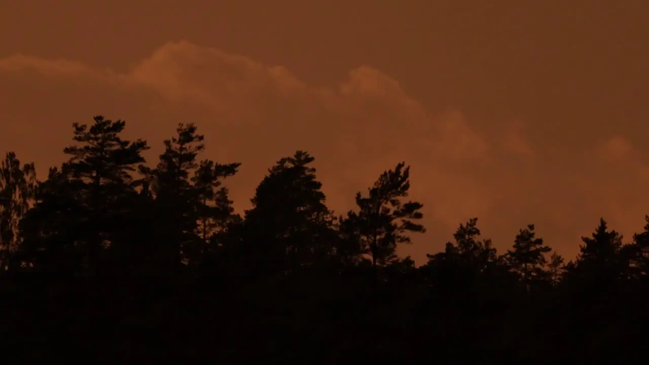 Time lapse of clouds moving over trees inside a Swedish forest during sunset