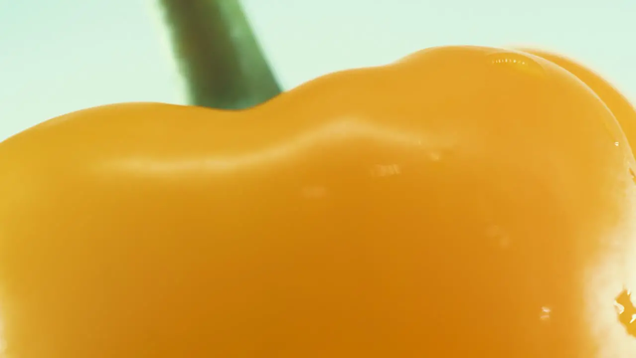 A macro close up shot of a wet shiny sweet yellow pepper on a rotating stand 360 slow motion 4k