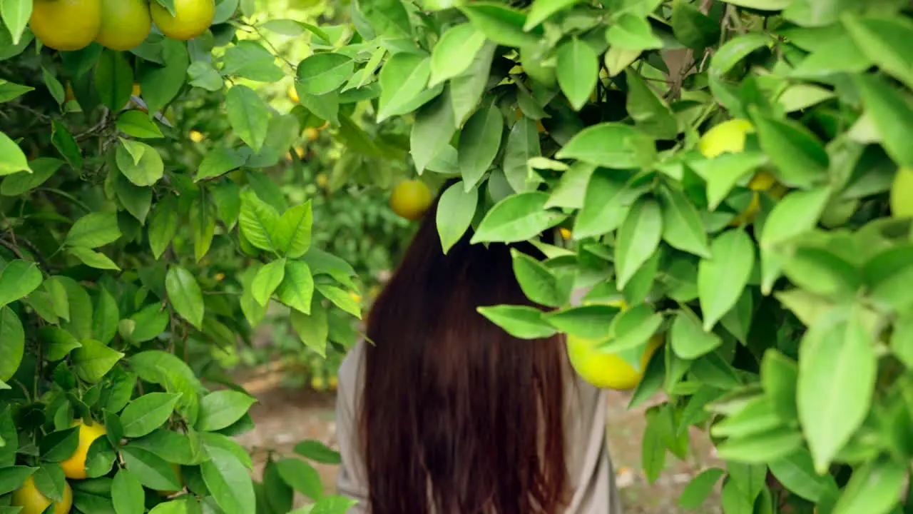 Girl walking orange trees in garden