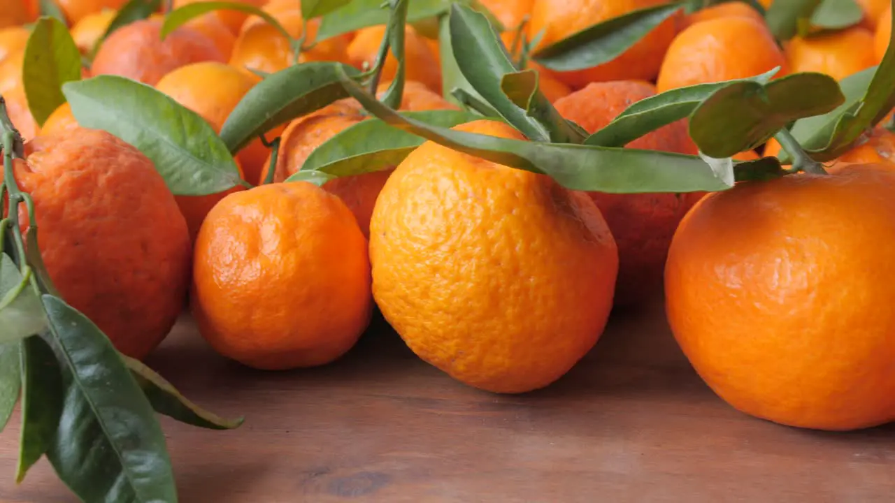 Close Up Of Organic Tangerines Freshly Picked From The Tree