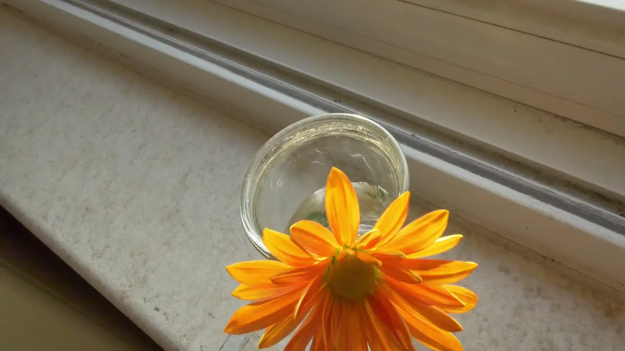 Slow pedestal down to a single orange flower in a glass of water on a windowsill