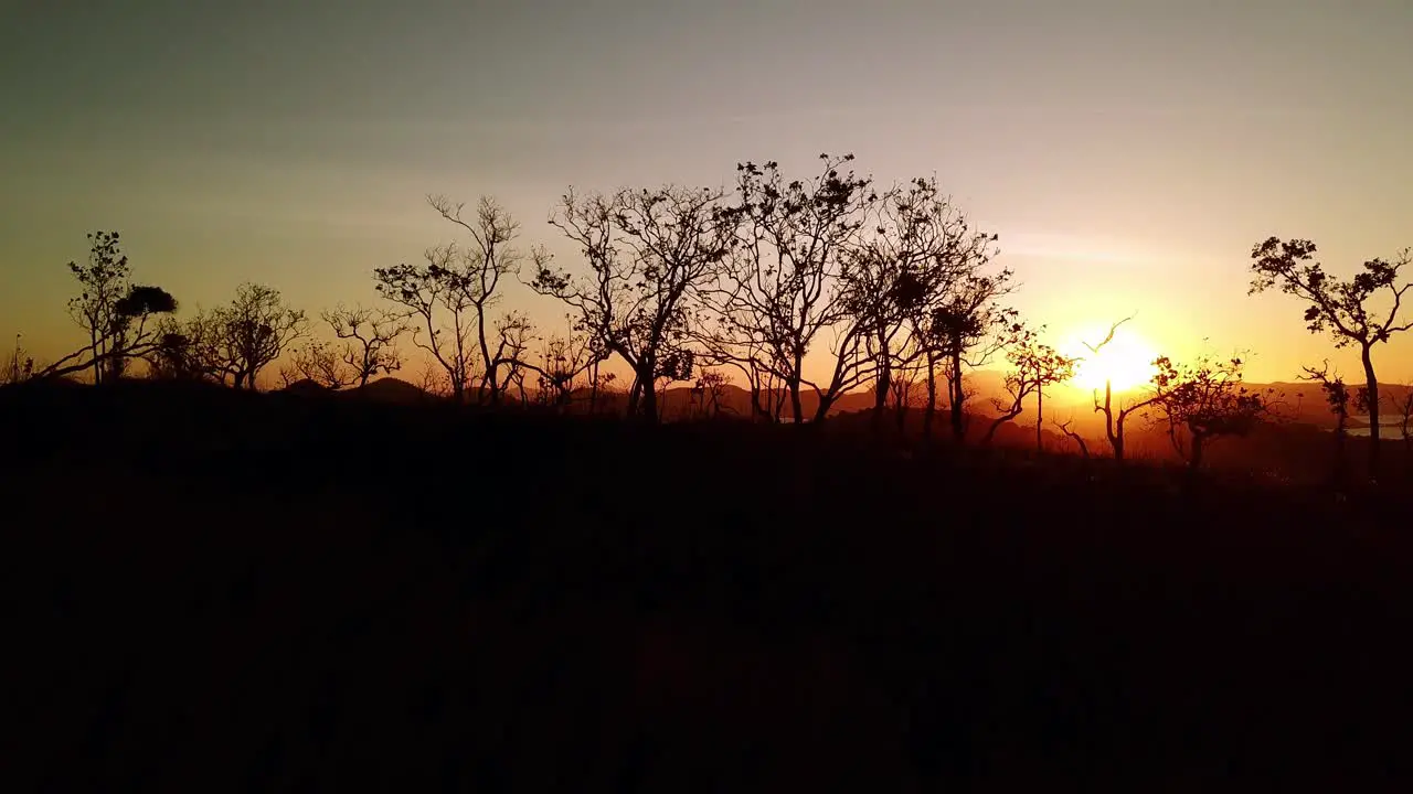 Aerial drone shot of beautiful sunset with silhouette of trees and grass in foreground rising to show islands and mountains in background