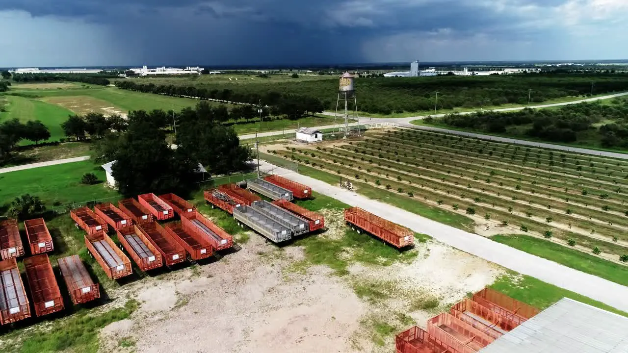 Orange Groves in Haines City Florida