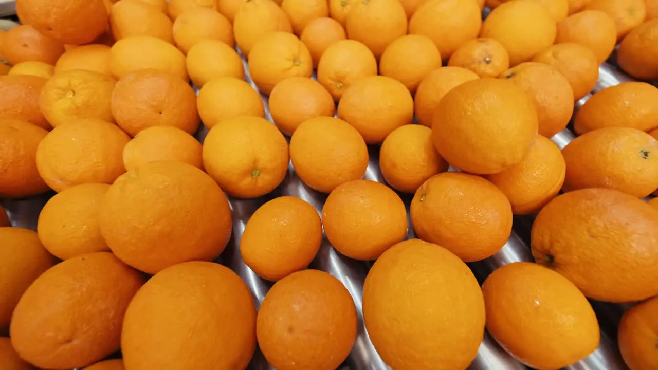 Oranges rolling on grading and sorting machine in industrial packaging plant-2