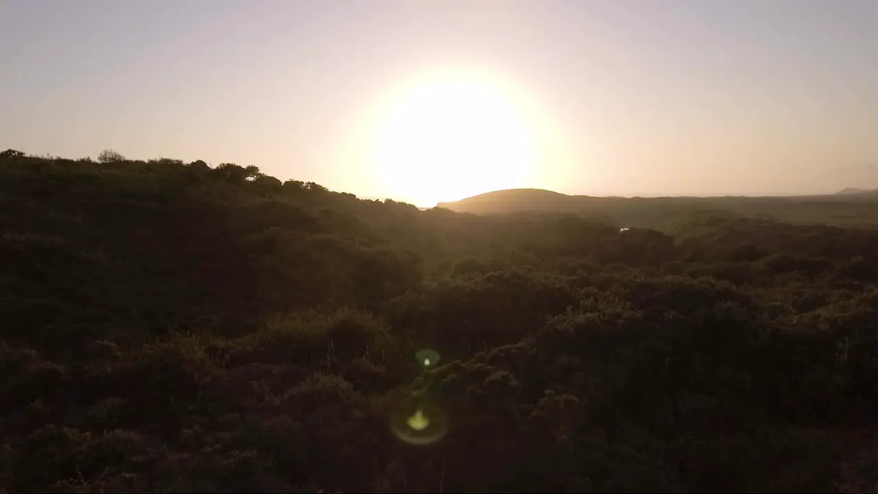 AERIAL Sunset over green California