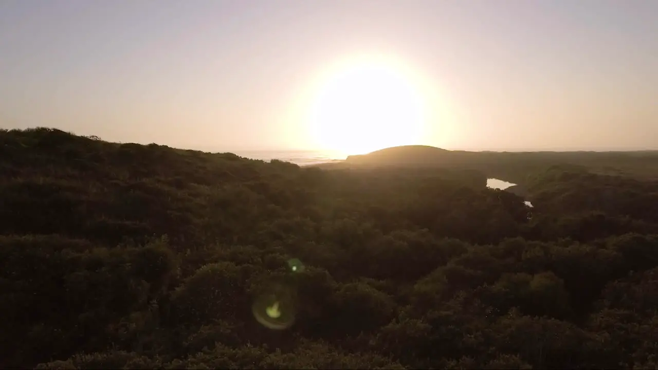 AERIAL Low above green shrubs during sunset