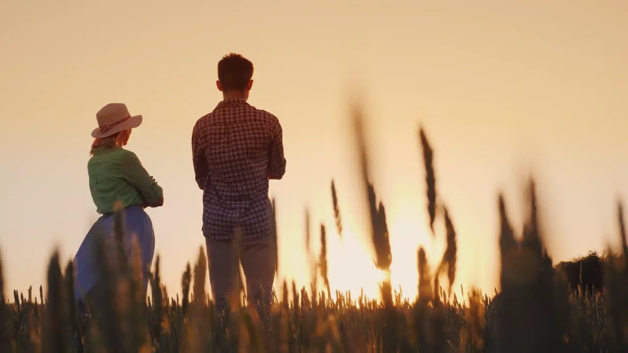 Two Farmers Man And Woman Standing In A Wheat Field Watching The Sunset Lower View Angle 4K Video