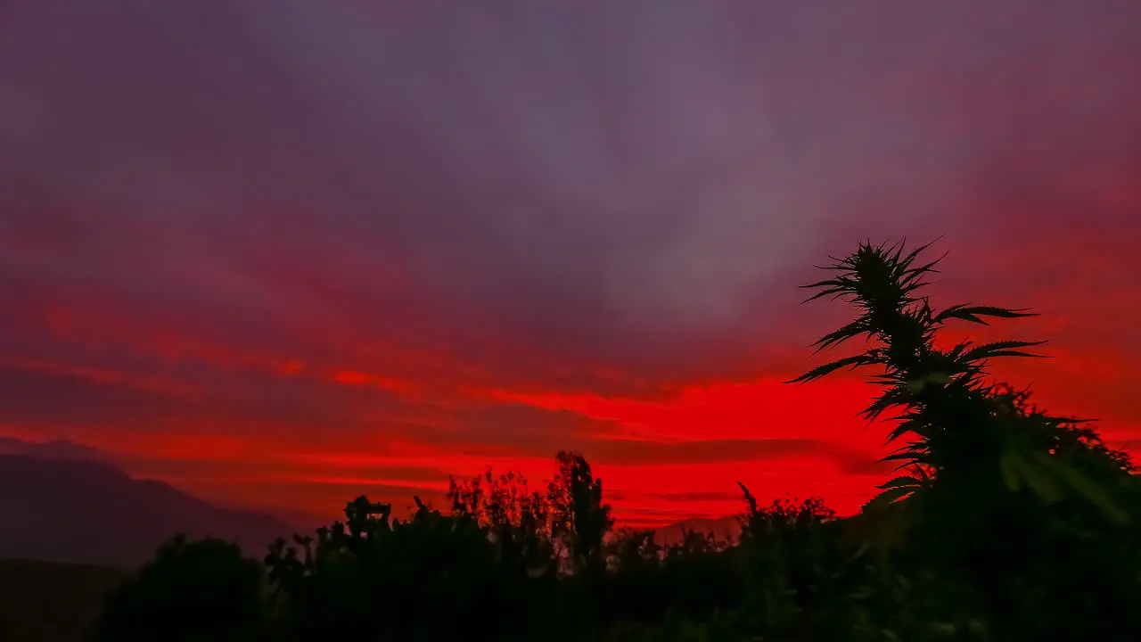 Amazingly brilliant sunset over the trees at dusk time lapse cloudscape