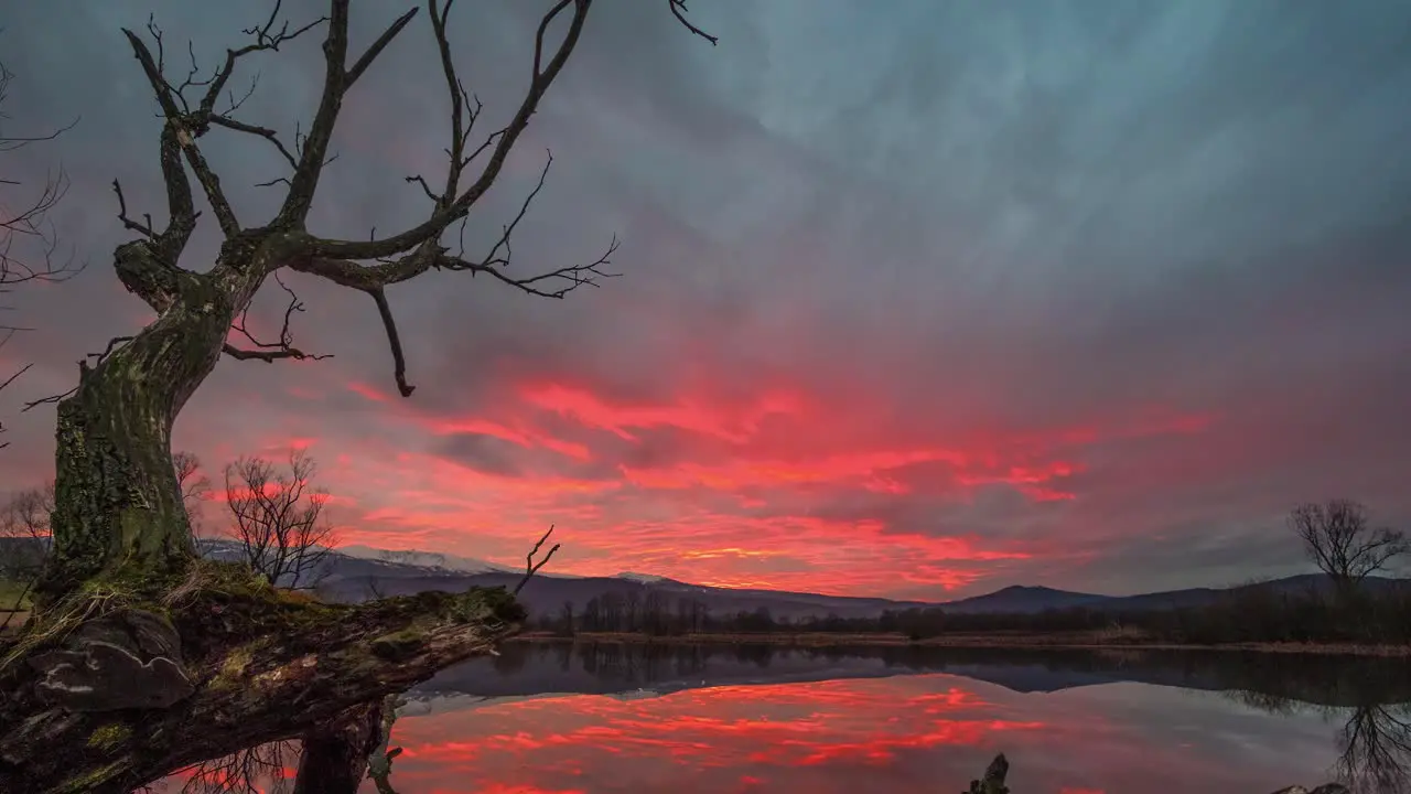 Timelapse of a red sunset reflected on the lake with a dead tree in the foreground and surrounded by Karkonosze Mountains in Poland