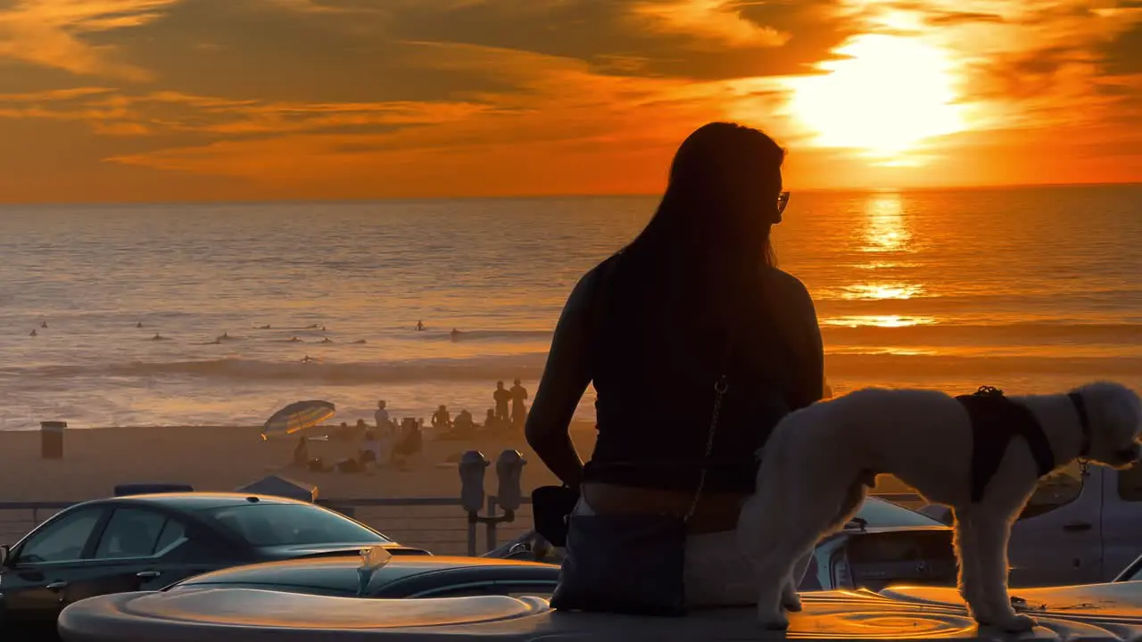 Silhouette of female sitting on beach enjoying sunset with her dog