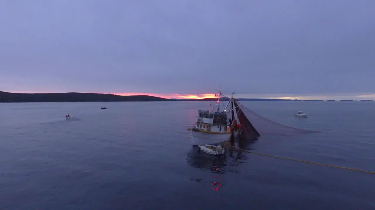 A wonderful sight on a fishing boat