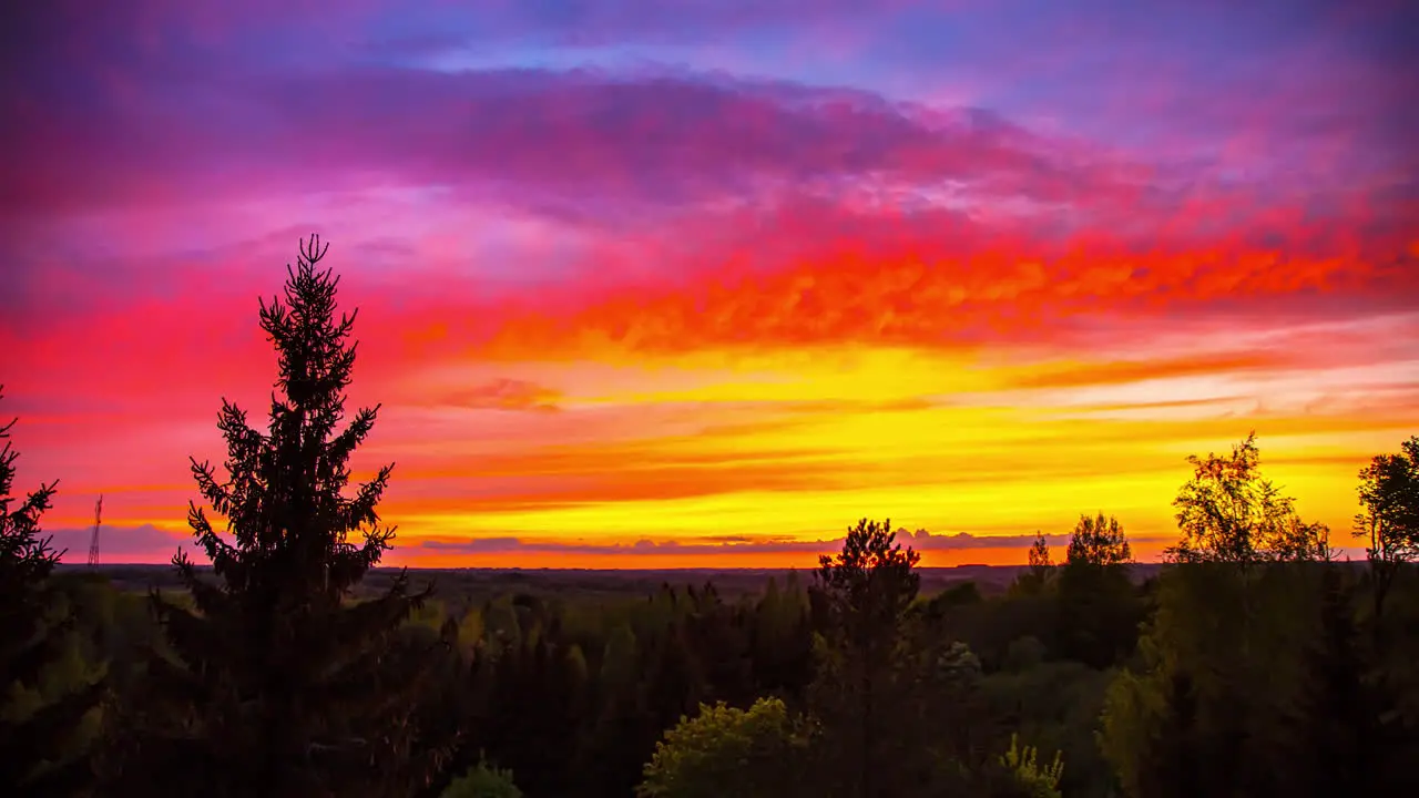 spectacular color palette shining in the evening sky over a coniferous forest